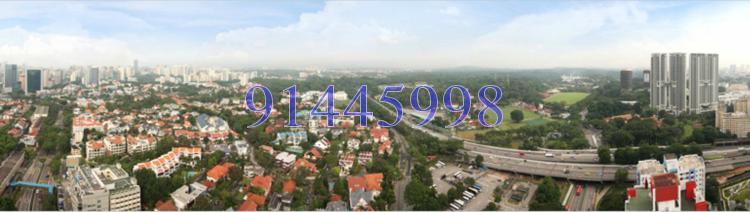 368 Thomson (D11), Condominium #131064132
